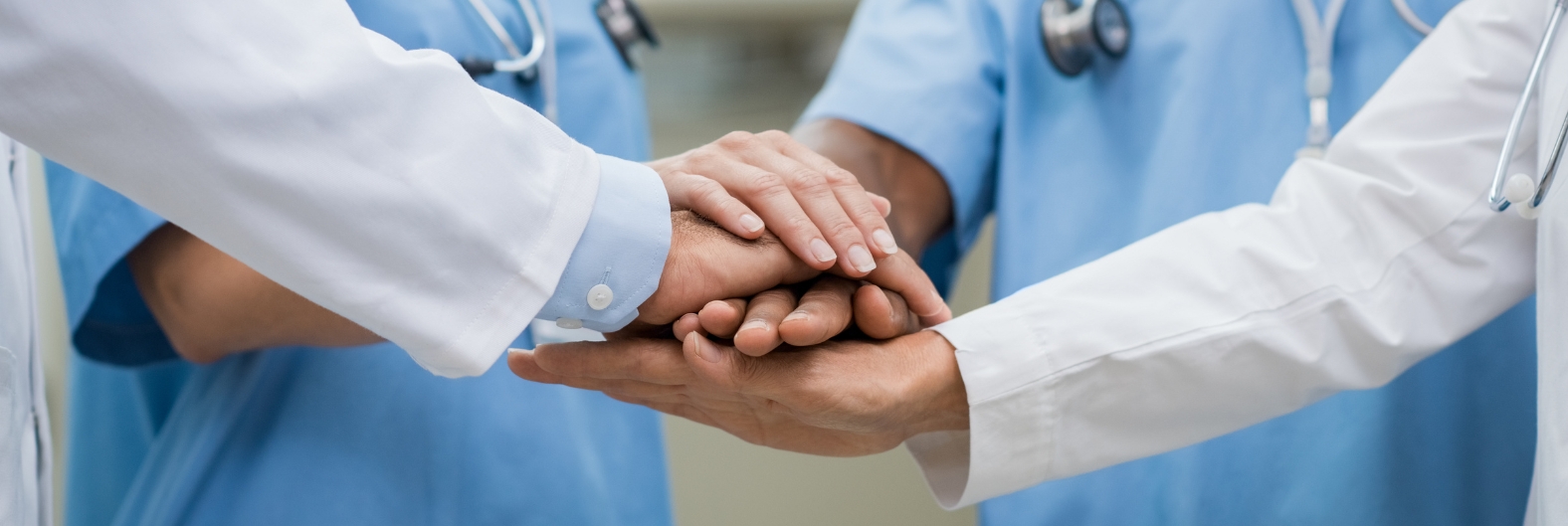 NZ Website Imagery (1576 X 529 Px) (11)