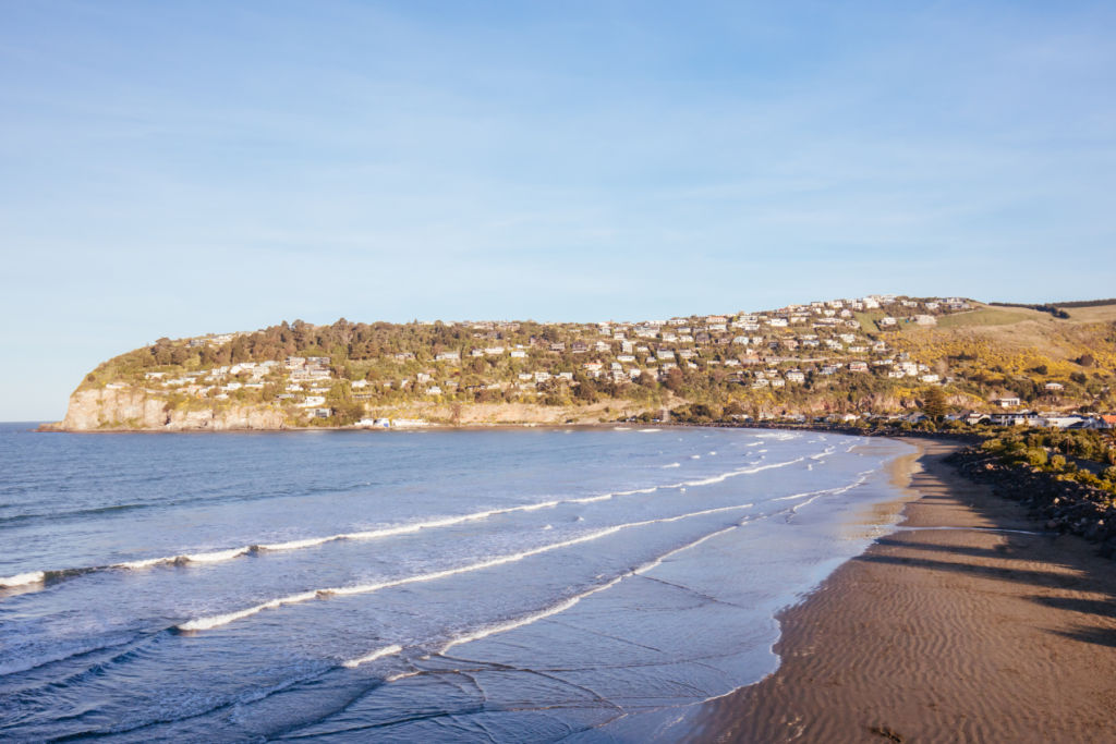 Untitled Design 7 1024X683 (1)