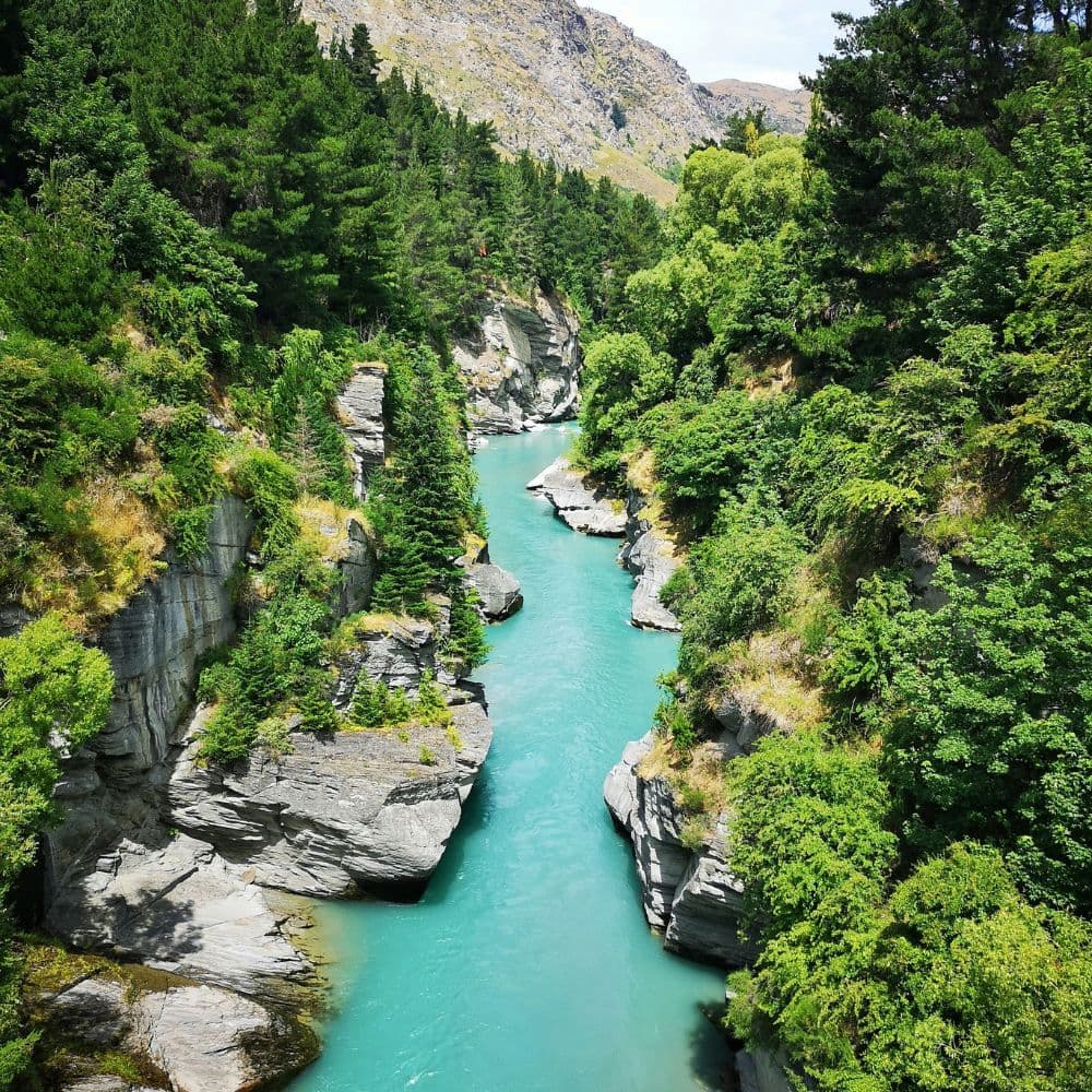 AUSNZ Website Images (3) (1)